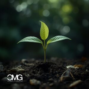 Gestione ambientale con CMGSwiss: consulenza ISO 14001 per aziende sostenibili, riduzione impatto e miglioramento continuo.