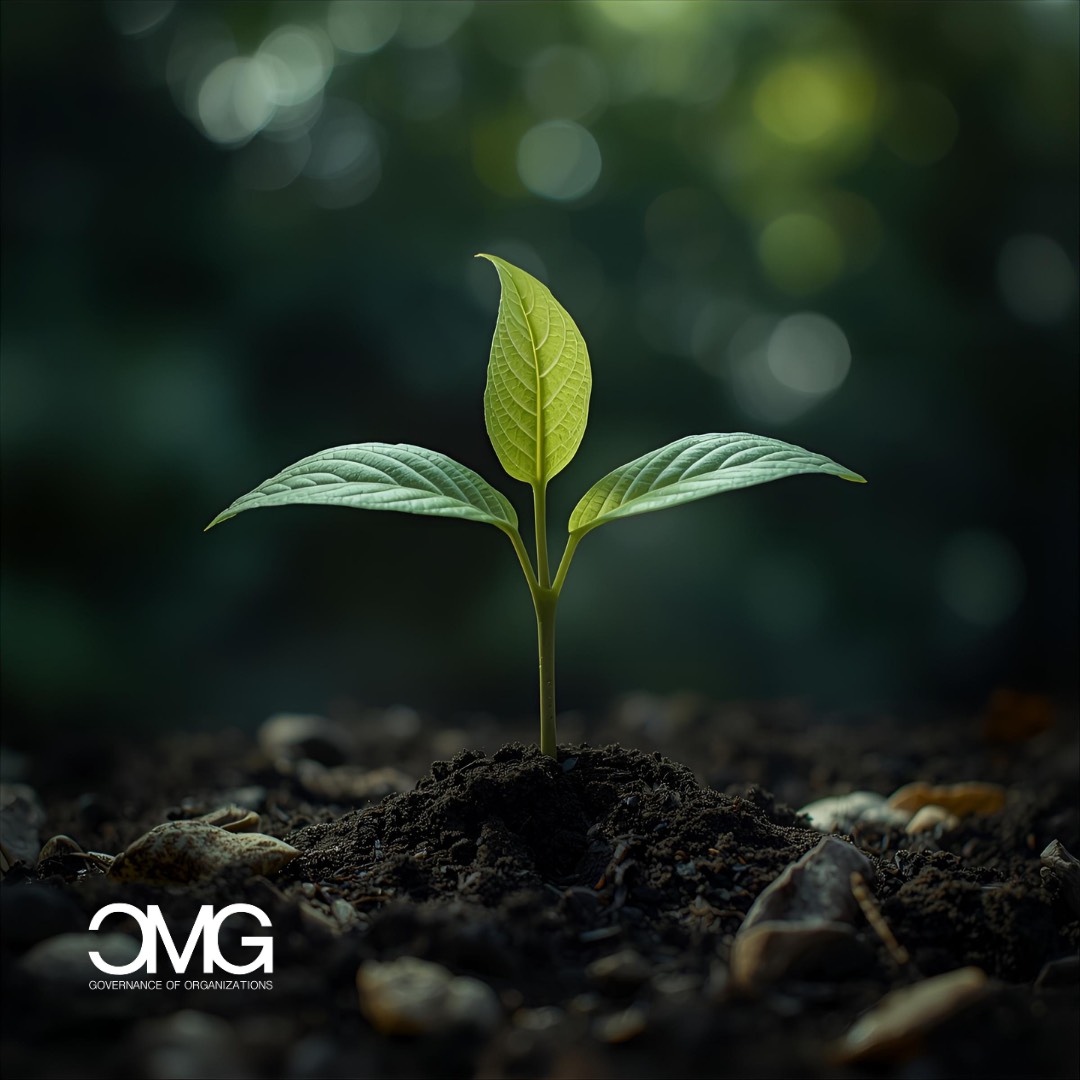 Gestione ambientale con CMGSwiss: consulenza ISO 14001 per aziende sostenibili, riduzione impatto e miglioramento continuo.