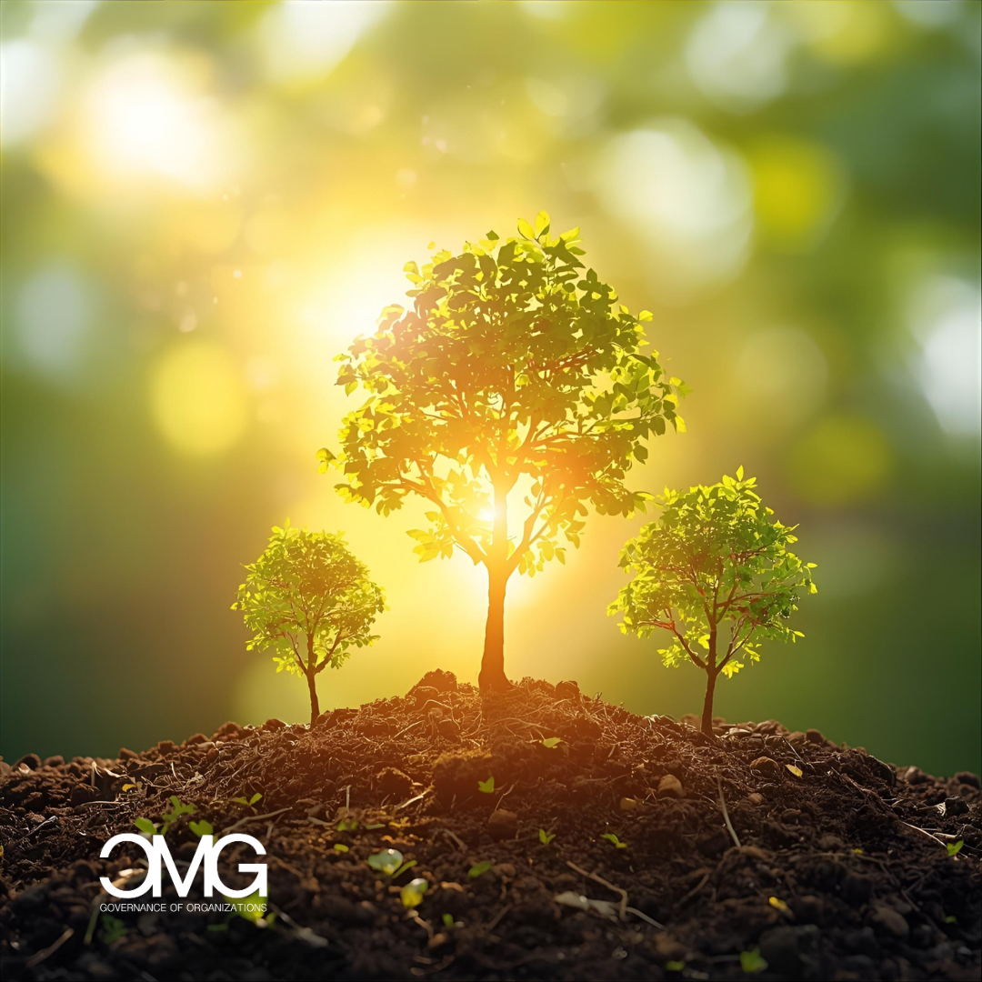 Bilancio di Sostenibilità CSRD: CMG Swiss ti guida nella rendicontazione ESG per un’impresa più trasparente e competitiva.